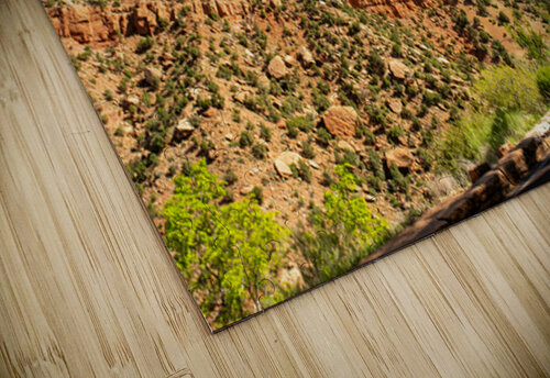 Bryce Canyon Utah Annette Gregory puzzle