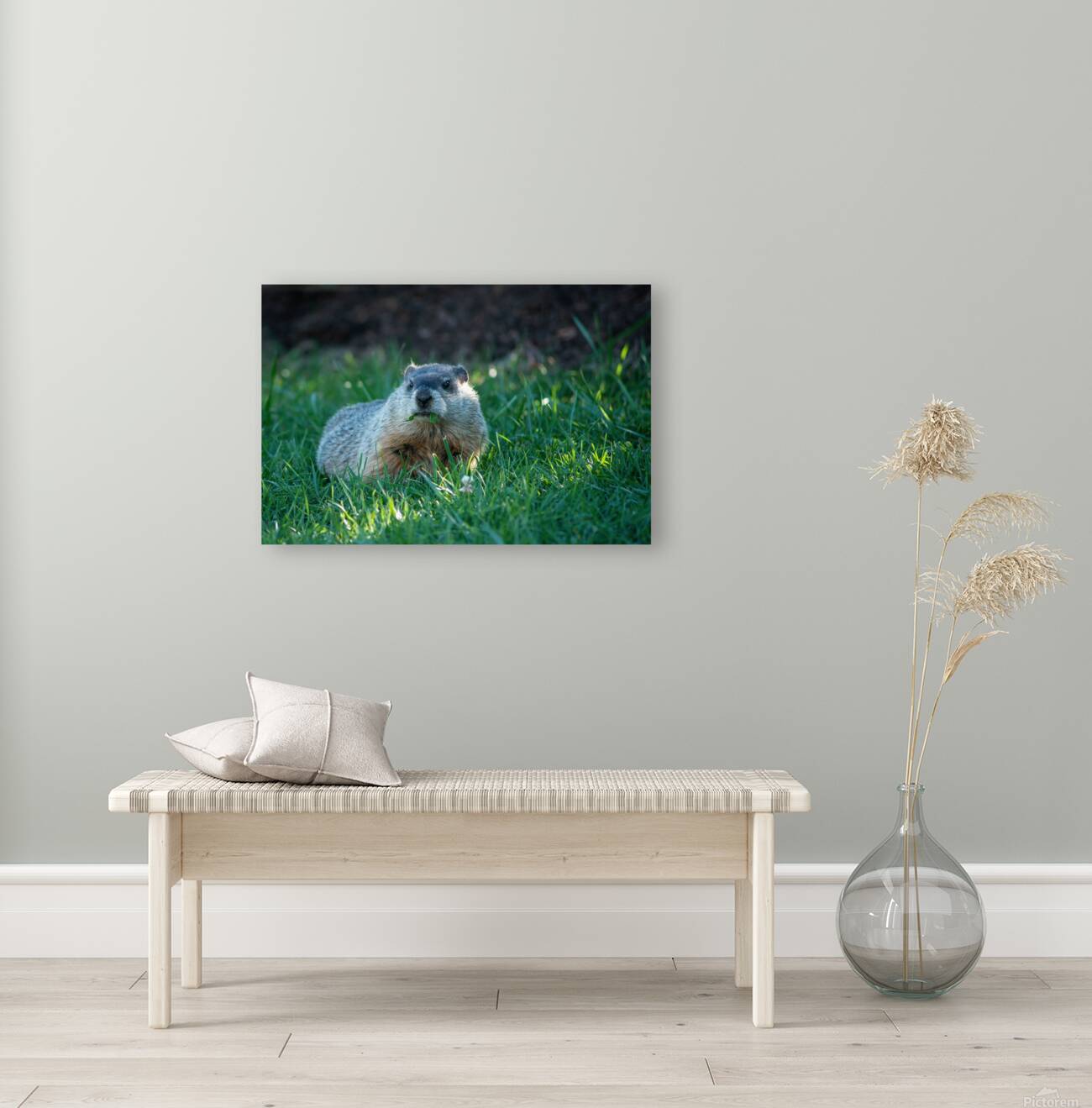Groundhog Reproduction