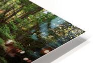 creek HD Metal print