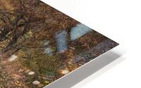 curve into fall HD Metal print