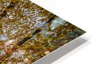 Fall path HD Metal print