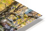 Fall Rock HD Metal print