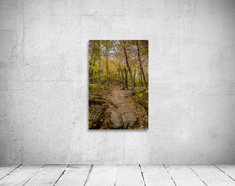 Fall path Wall Preview