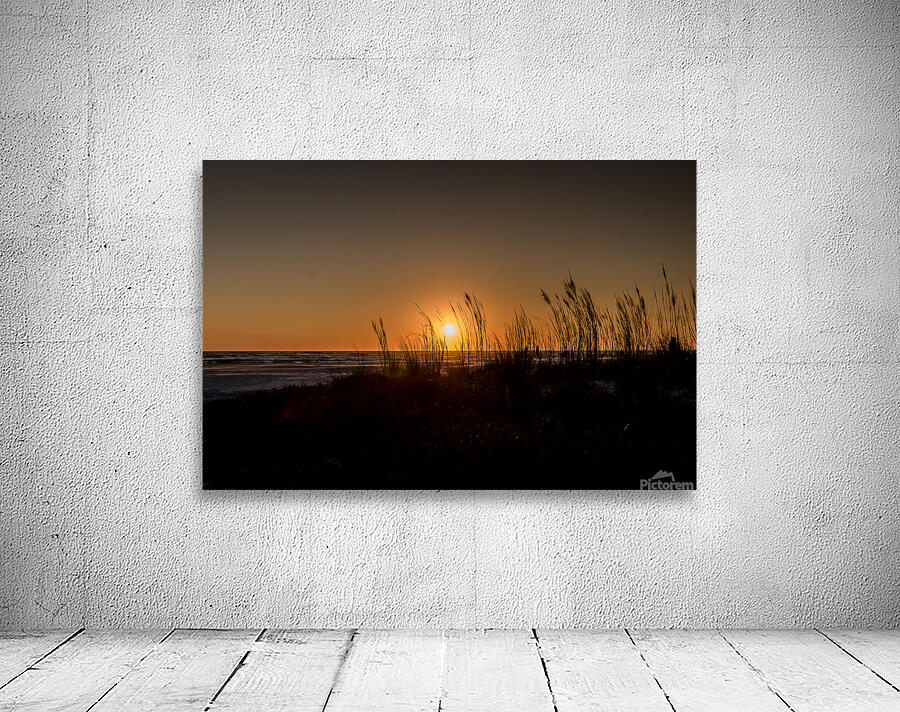 Sarasota Beach Wall Preview