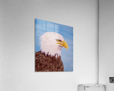 Eagle  Acrylic Print