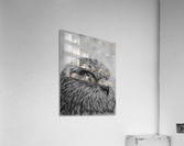 Bird Acrylic Print