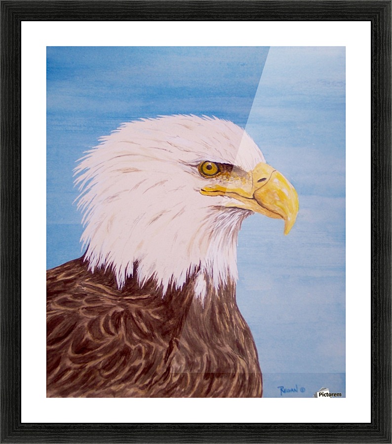 Eagle  Picture Frame print