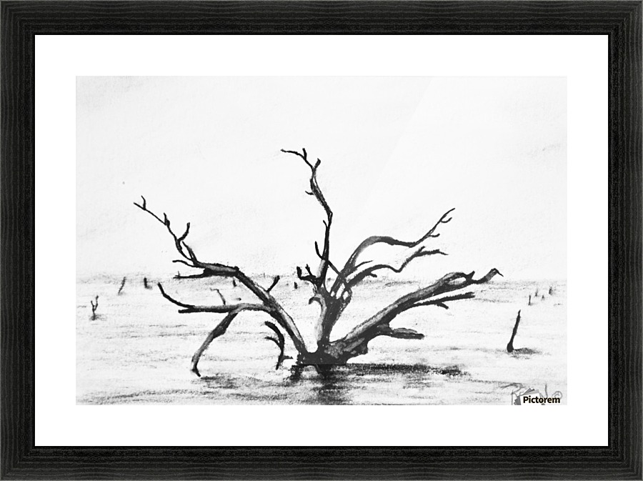 Lone Tree Picture Frame print
