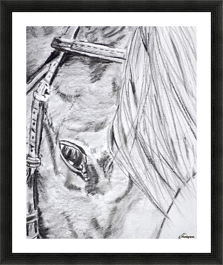 Horse  Picture Frame print