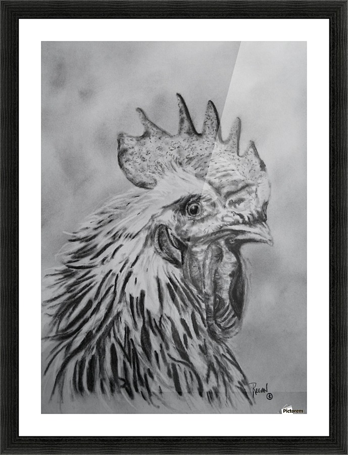 Rooster Picture Frame print