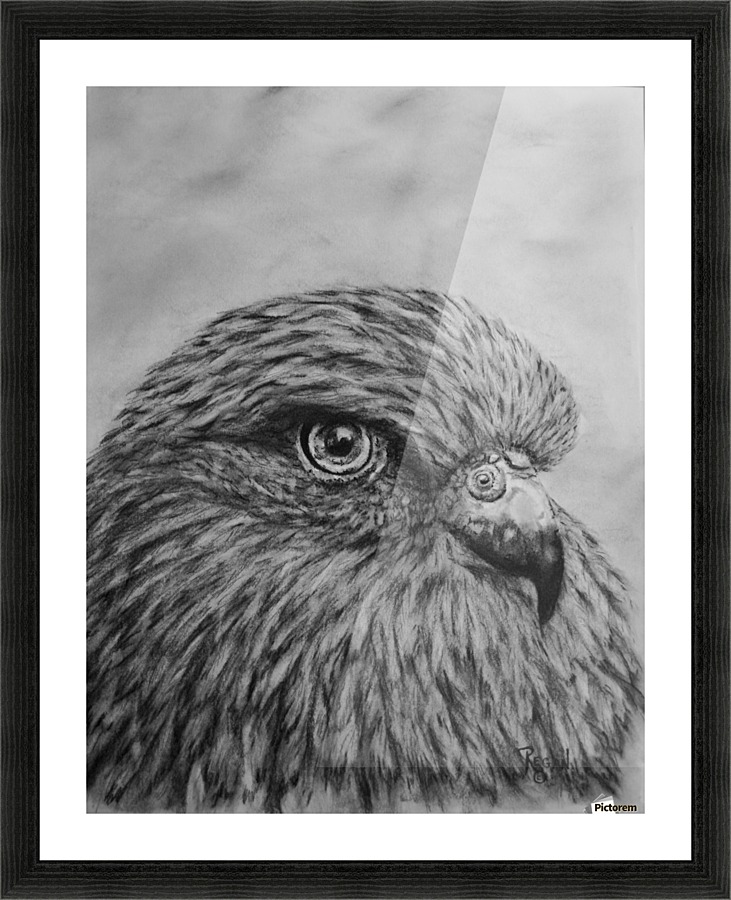 Bird Picture Frame print