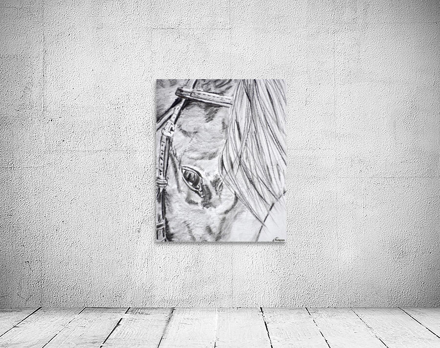 Horse  Wall Preview