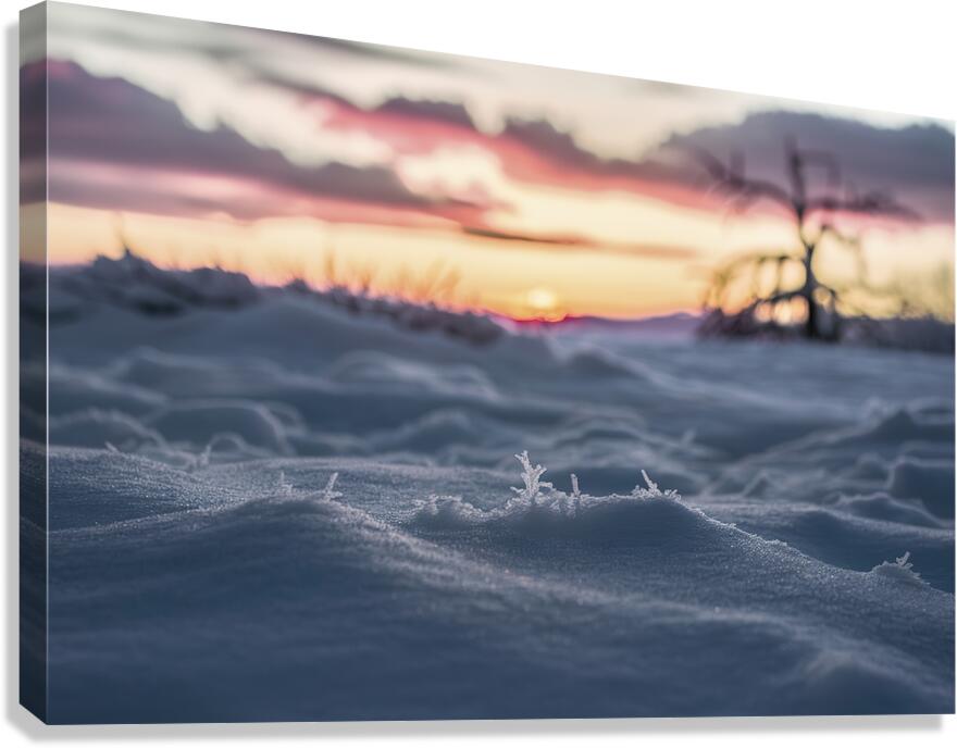 winter landscape abstract background 1 Canvas Print