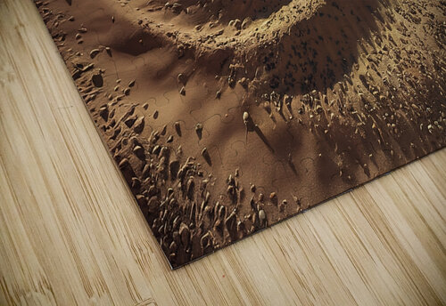 a sandy textured surface Stoica Lilian puzzle