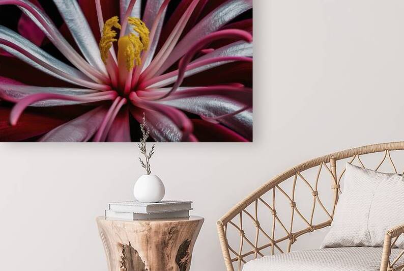 An exquisite close up background of an abstract f 1722581864.0614 by Stoica Lilian