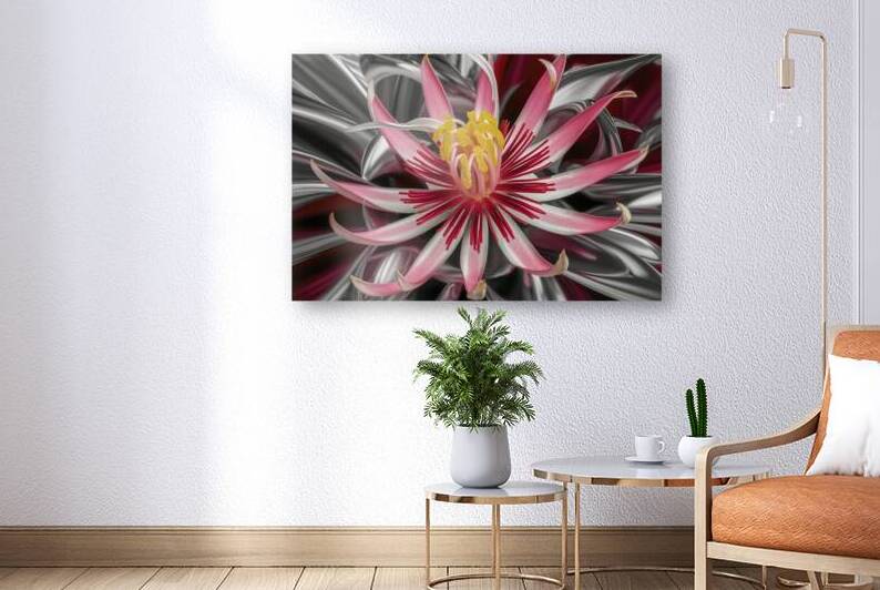 An exquisite close up background of an abstract f by Stoica Lilian