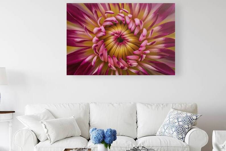 A close up of a vibrant flower background 2 by Stoica Lilian