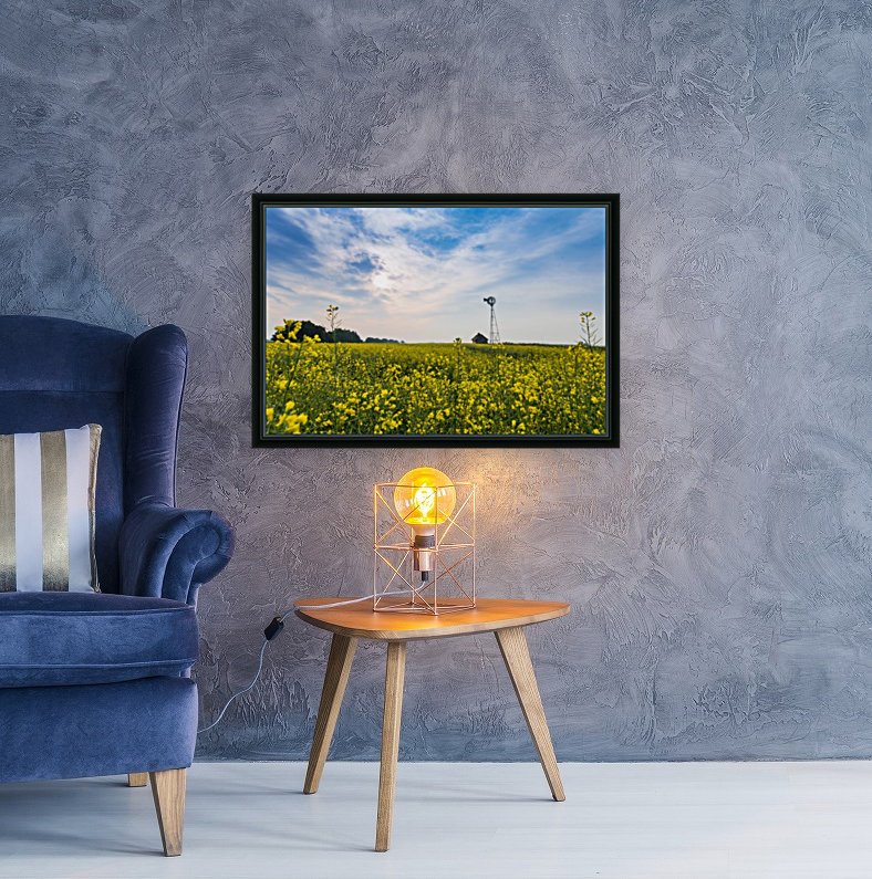 Canola field Reproduction