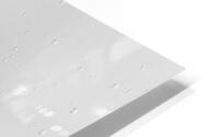 Infra red bubbles HD Metal print