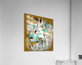 african lion Acrylic Print