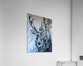 reindeer  Acrylic Print