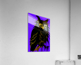 owl Acrylic Print