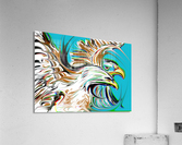 bald eagles Acrylic Print