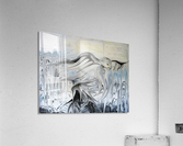 big freeze  Acrylic Print