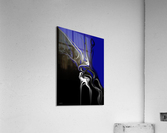 abstract night Acrylic Print