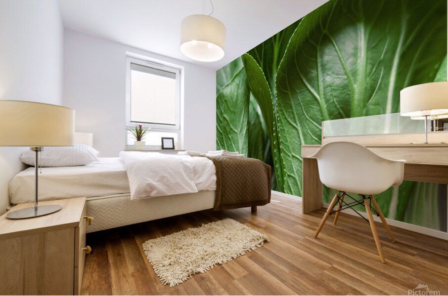 Bok Choy Mural print