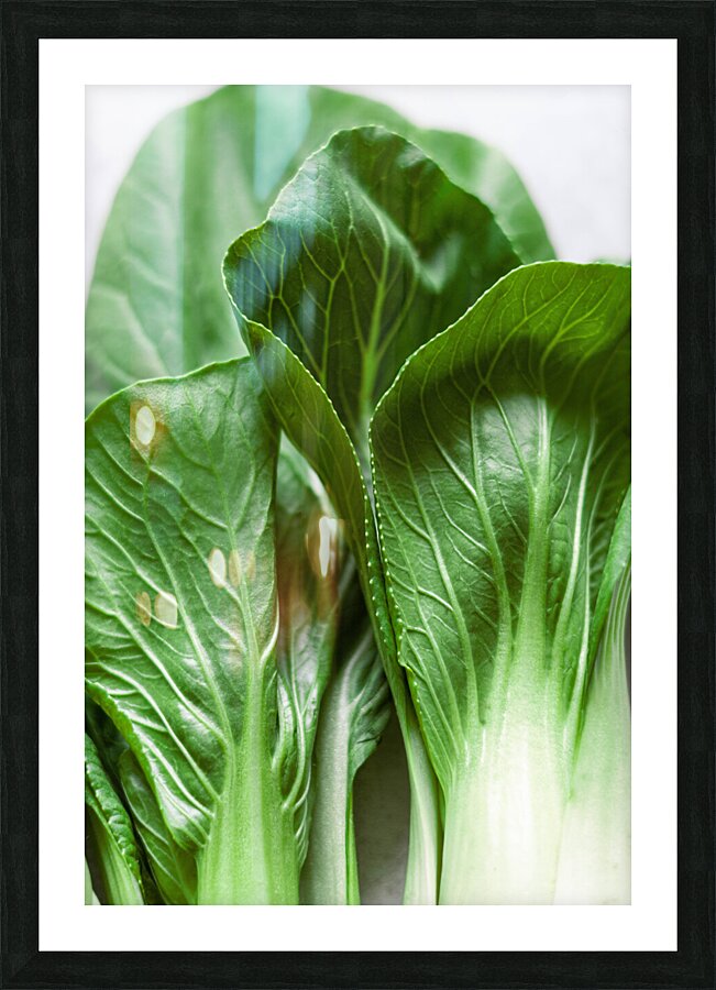 Bok Choy Picture Frame print