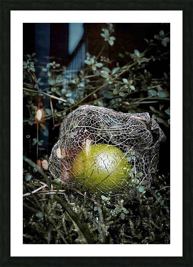 Fallen Tomatillo Picture Frame print