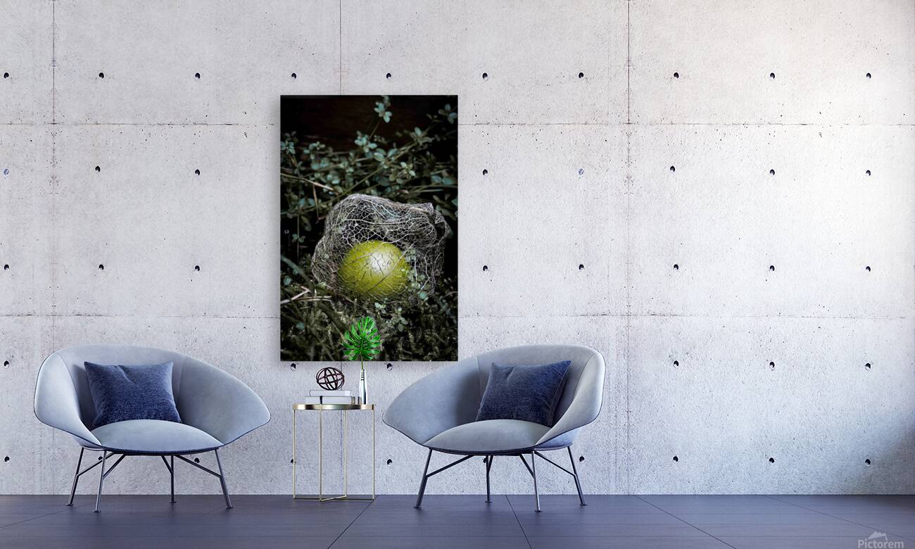 Fallen Tomatillo Reproduction
