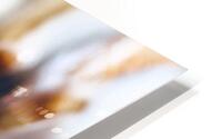 Cinnamon Buns HD Metal print