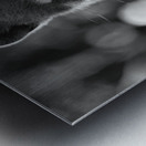 TEJON Metal print