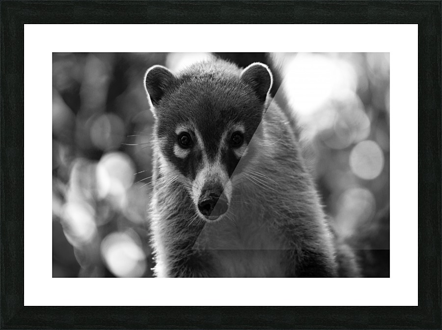 TEJON Picture Frame print