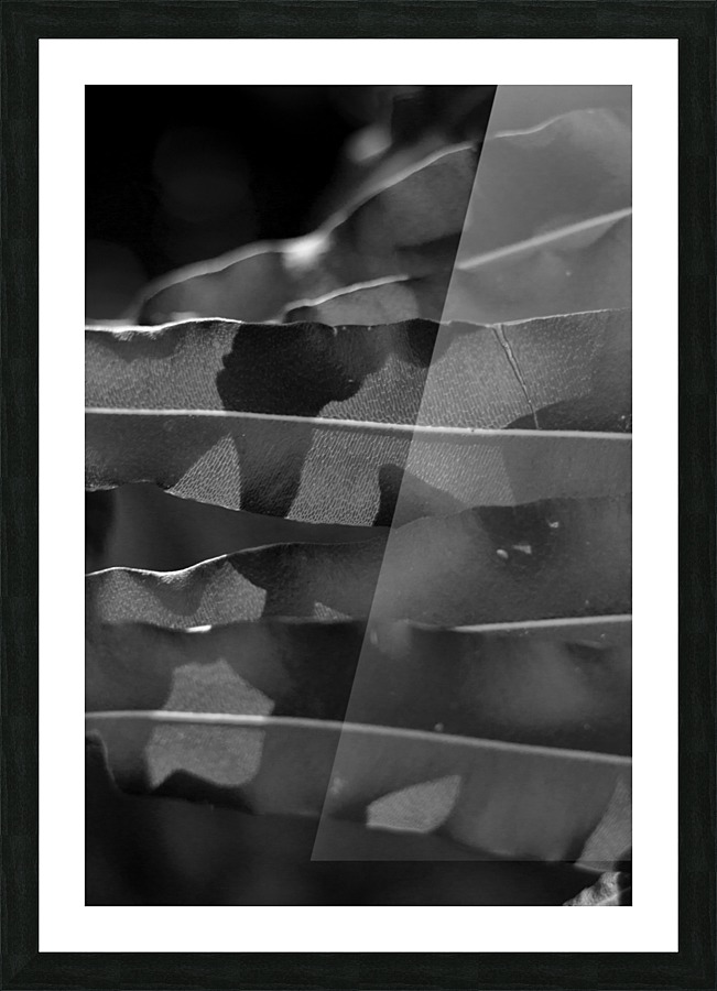 LEAF II Picture Frame print