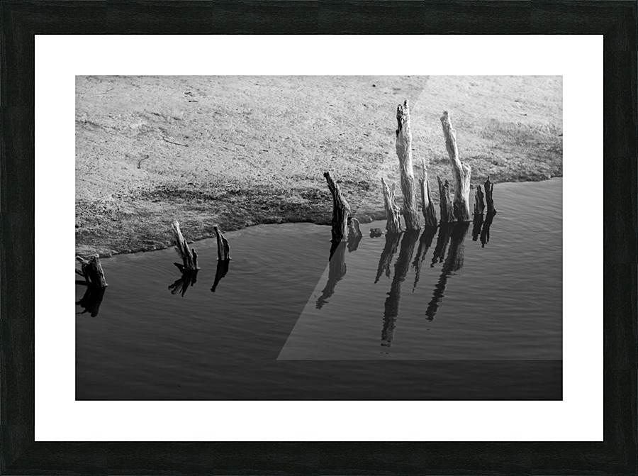 STICKS Picture Frame print