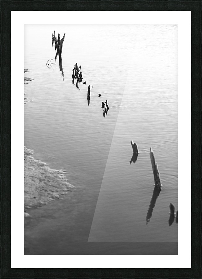 MIN STICKS  Picture Frame print