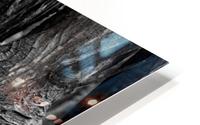 MAPACHE HD Metal print
