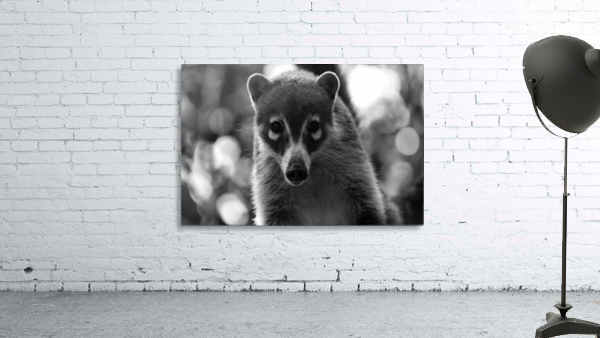 TEJON Wall Preview