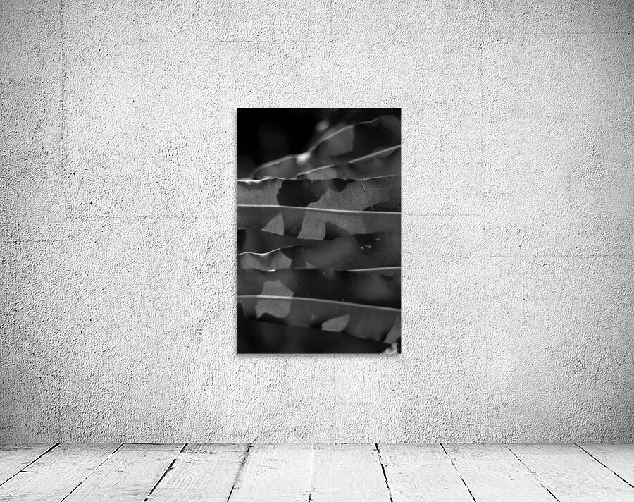 LEAF II Wall Preview