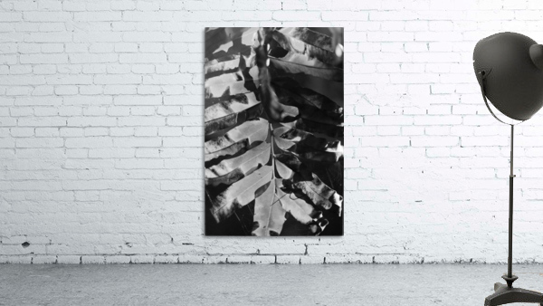 LEAF Wall Preview