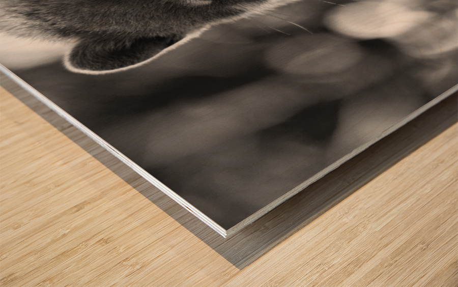 TEJON Wood print