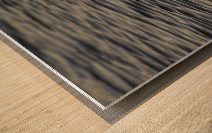 WET TEXTURE  Wood print