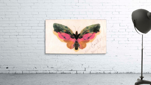 Butterfly Wall Preview