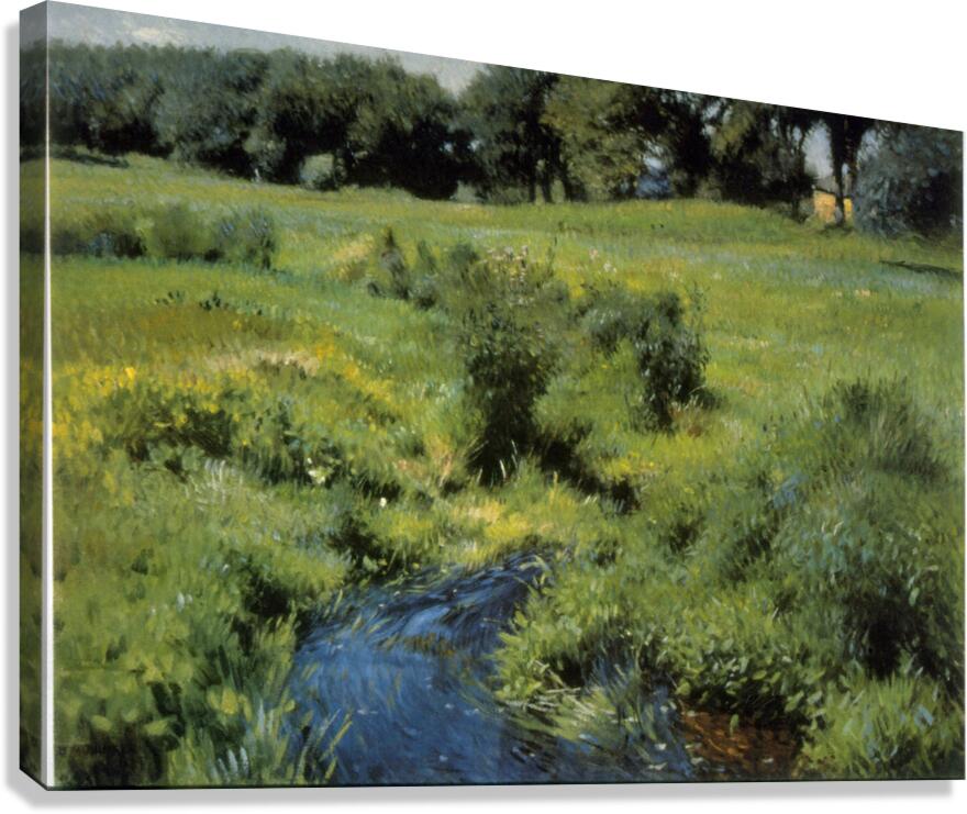 The Pool Canvas Print