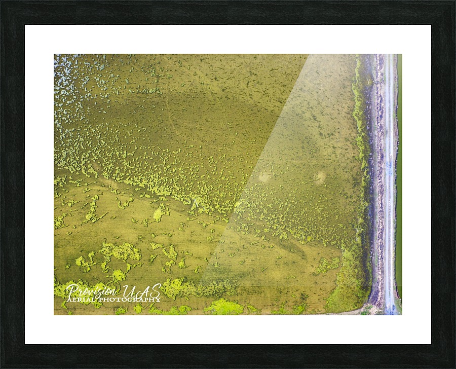 Fish Pond Algae Picture Frame print