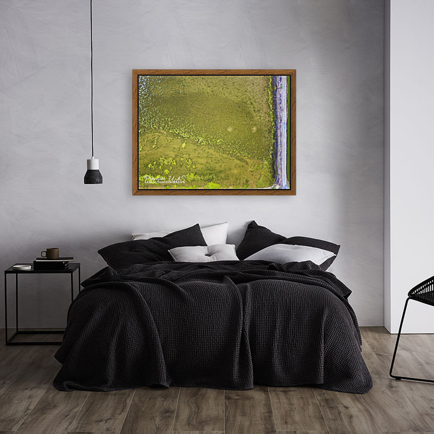 Fish Pond Algae Reproduction