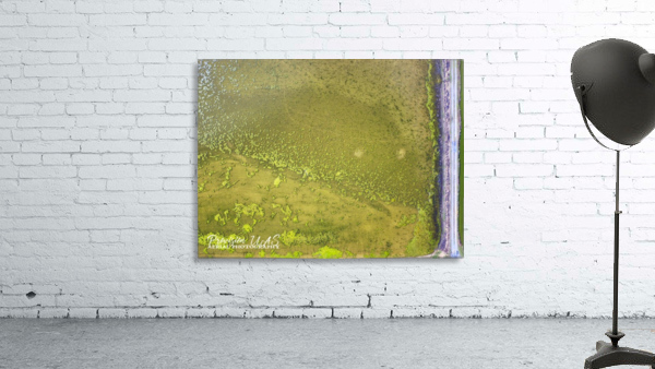 Fish Pond Algae Wall Preview